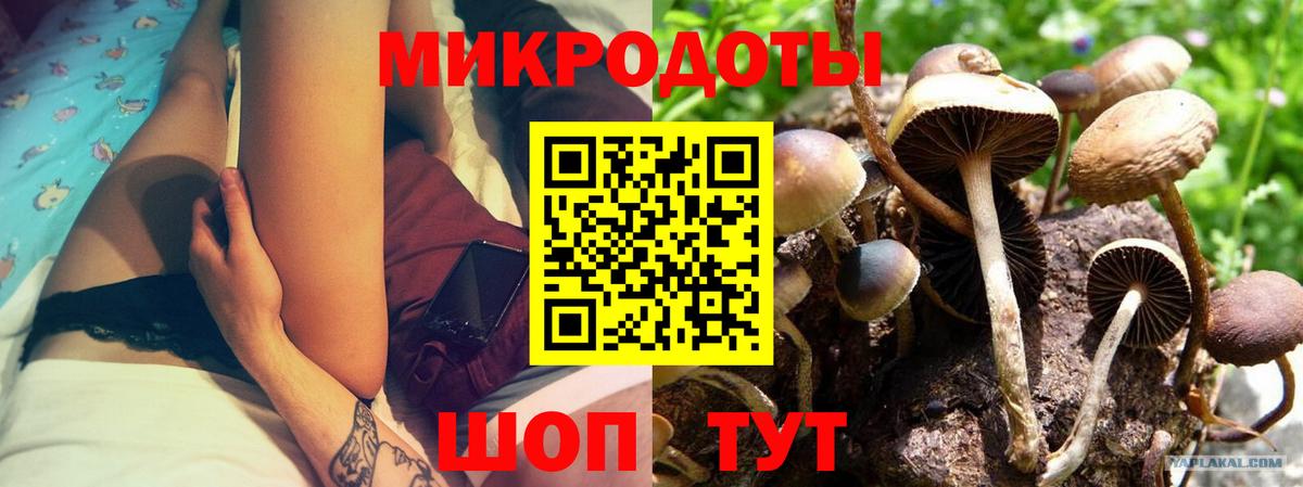 Галлюциногенные грибы ЛСД Тихвин