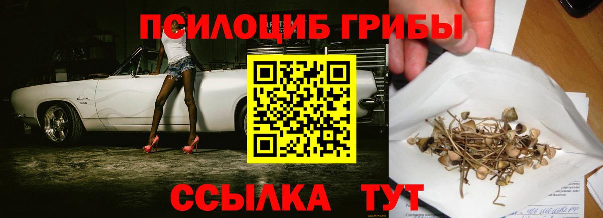 Тихвин  Галлюциногенные грибы MAGIC MUSHROOMS  Вход с VPN  Галлюциногенные грибы Psilocybe 